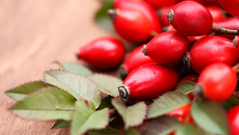 rimedi naturali con le bacche di rosa canina