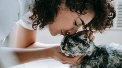 I gatti preferiscono le donne