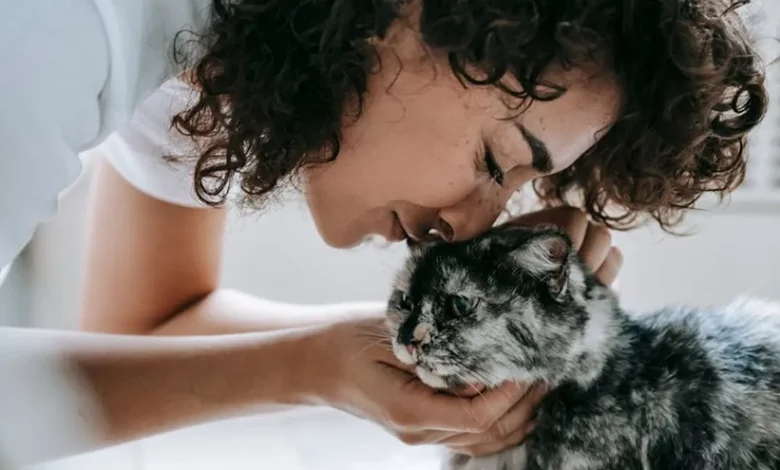 I gatti preferiscono le donne