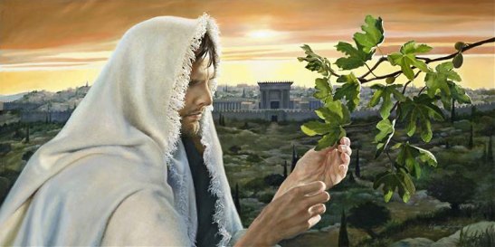 gesu'
